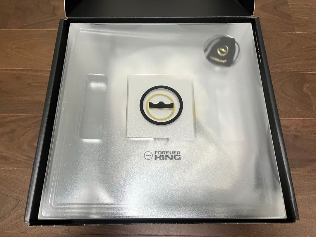 LEBRON XXIII EP レブロン23 試着のみ 29cm