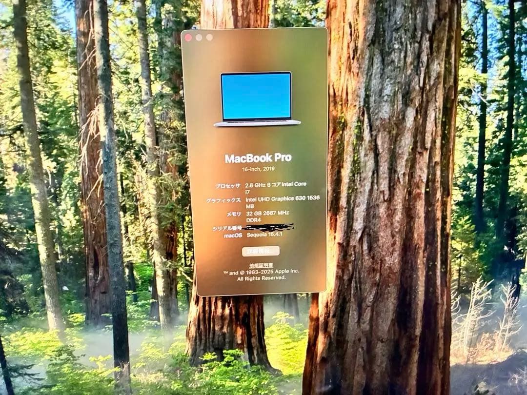 MacBookPro 2019／i7／SSD512／32GB／16インチ