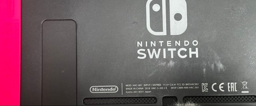 Nintendo Switch 本体 充電機器 SDカード