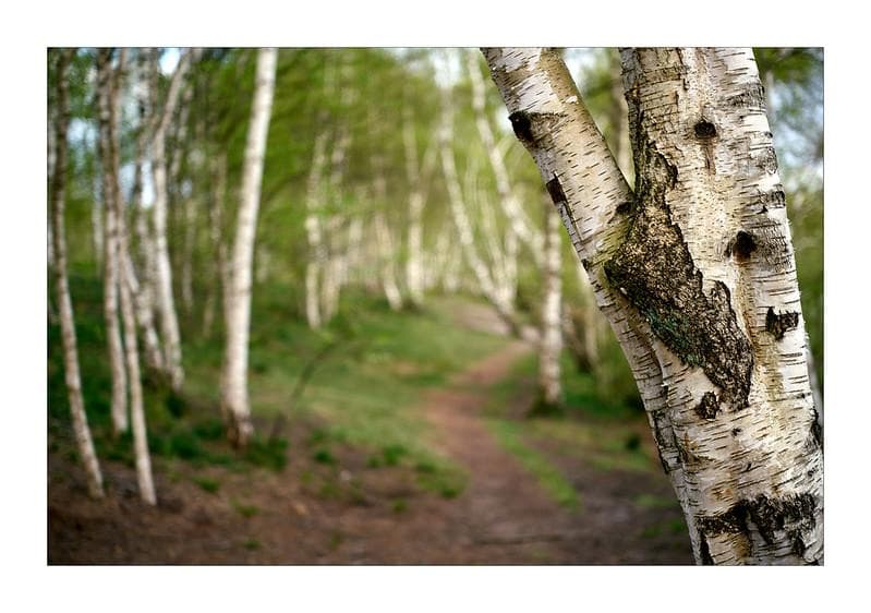 78　インダスター61 　未使用　53ｍｍｆ2.8　オールドレンズ