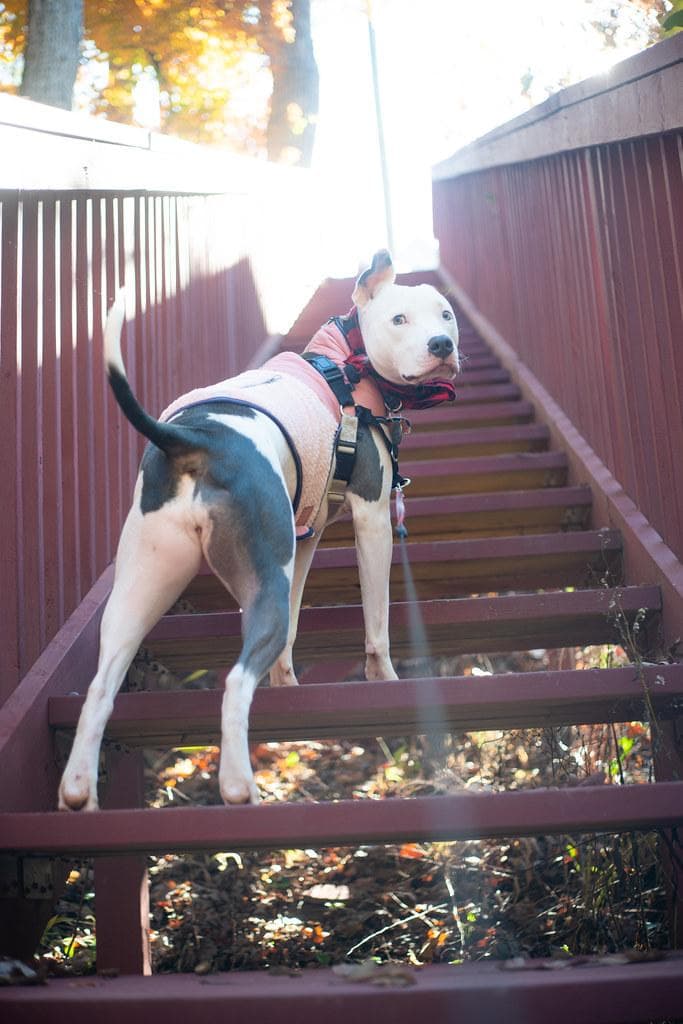 78　インダスター61 　未使用　53ｍｍｆ2.8　オールドレンズ