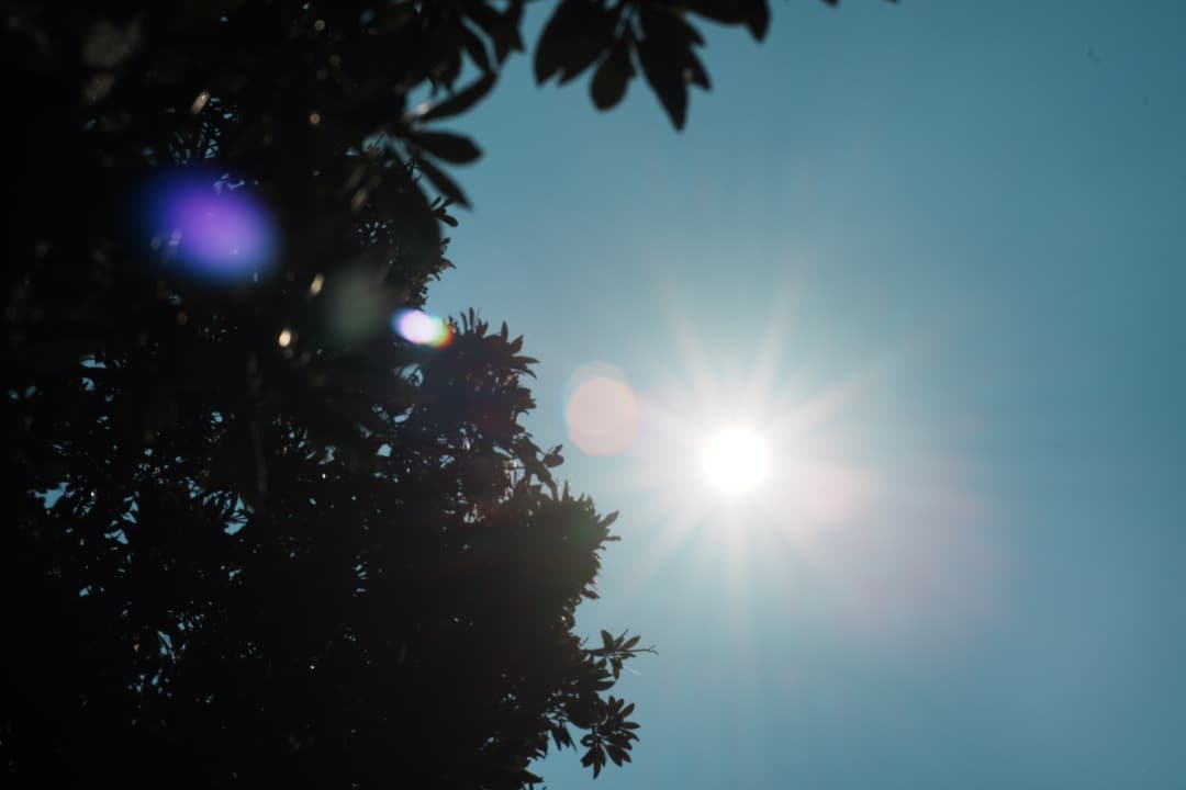 【神レンズ】オリンパス Zuiko auto macro 90mm F2 703