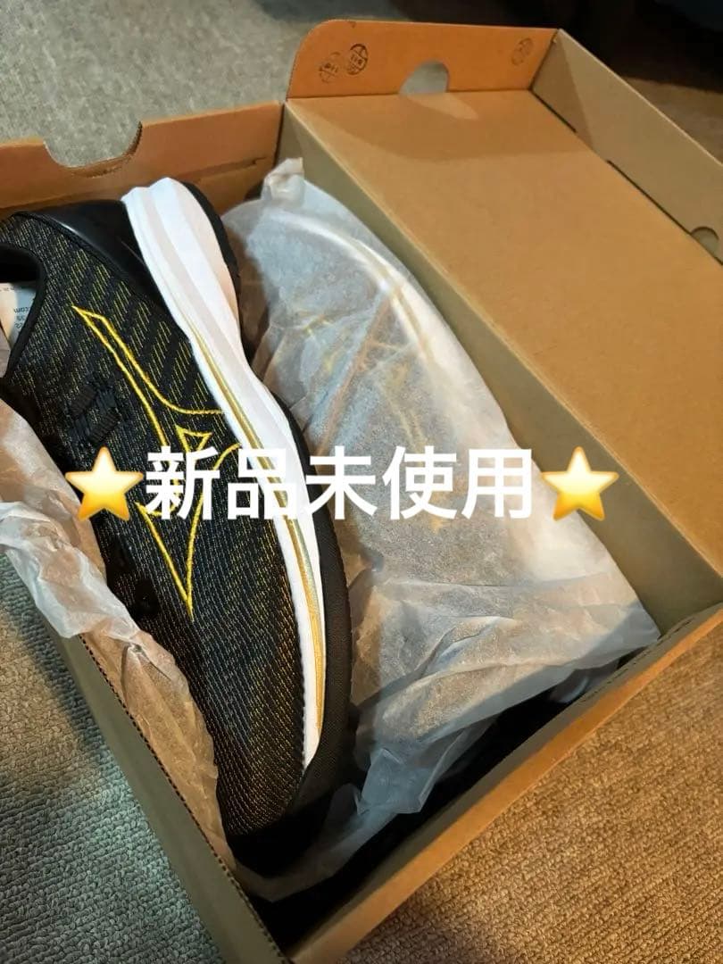 Mizuno トレーニングシューズ 黒/黄 収納袋付き