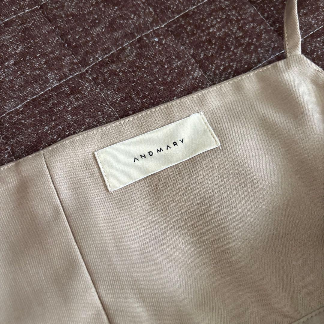 andmary Sandra lace dress 正規購入品