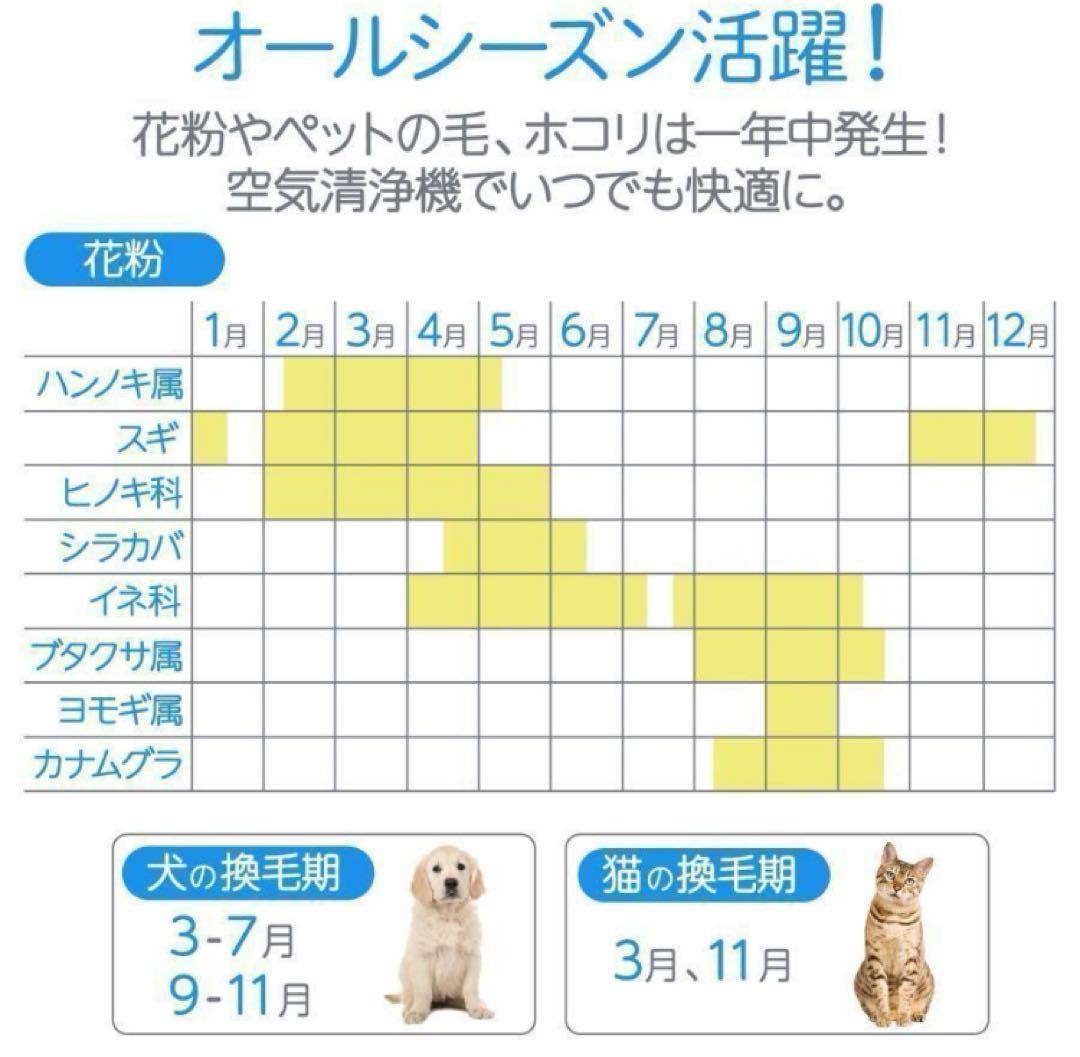 空気清浄機 小型 消臭 省エネ 花粉 脱臭機 たばこ 除菌／◯