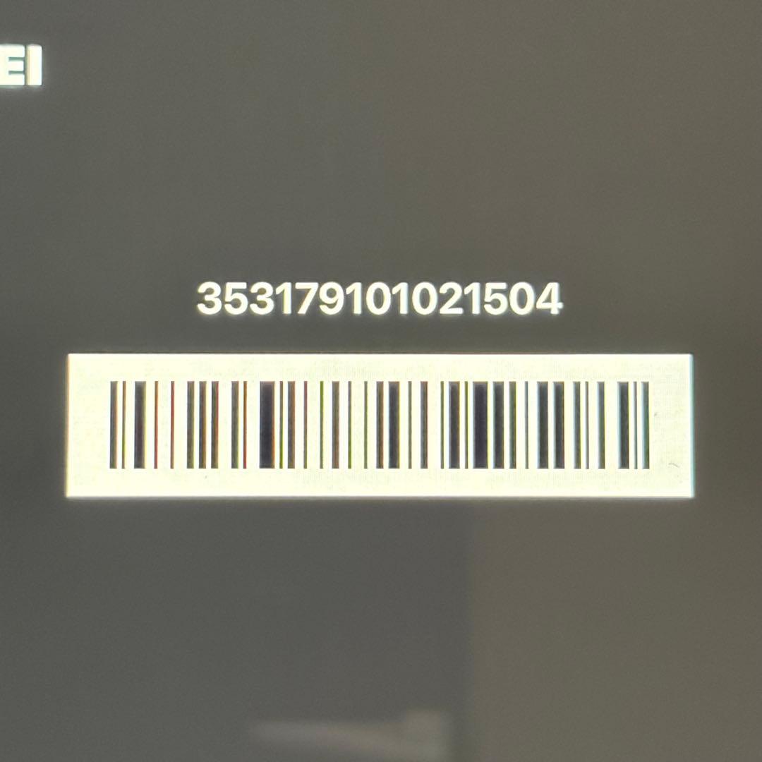 iPad mini5 WiFi+Cellular 256GB 週末にて終了❕