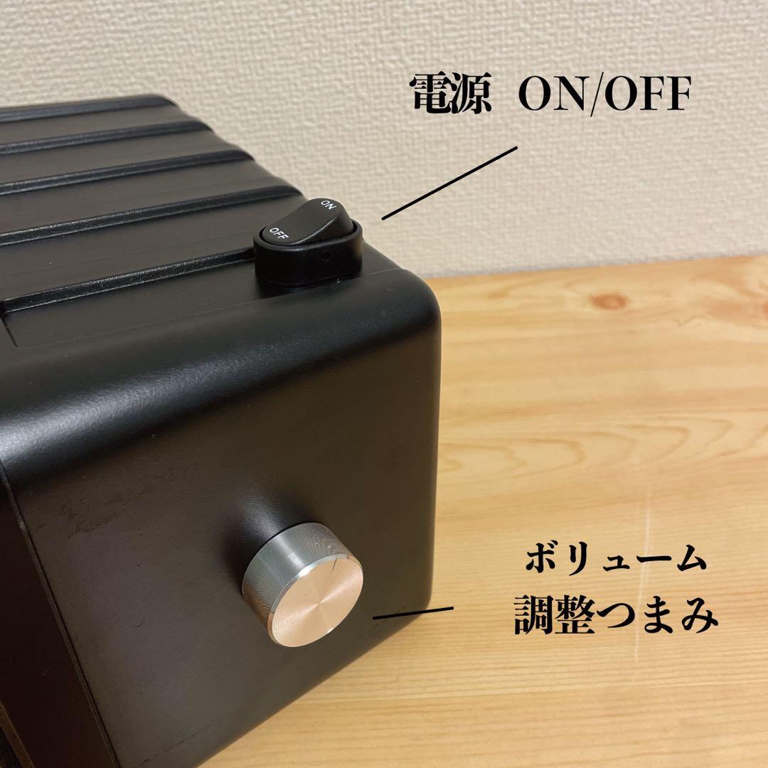 【専用アンプ付き！】BOSE101mm Bluetoothスピーカー　2110