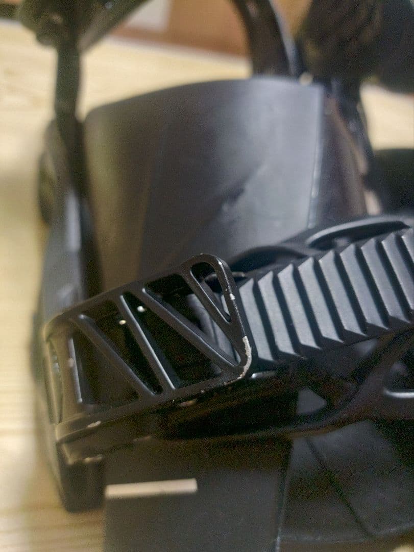 SALOMON Hologram サロモン ホログラム　ビンディング