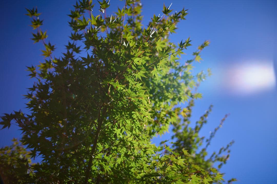 フィルムカメラ Canon New FD 35mm f2