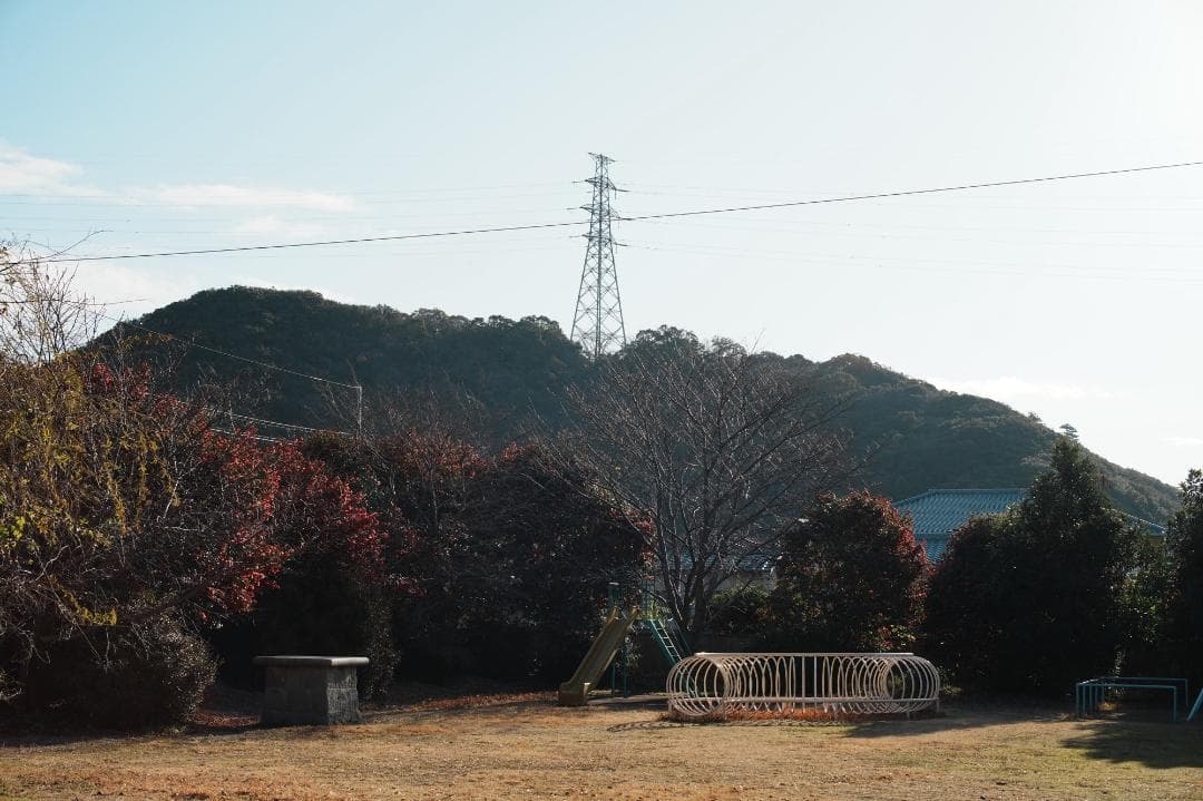 【整備＆テスト済】Canon FD 50mm F1.4 S.S.C 475