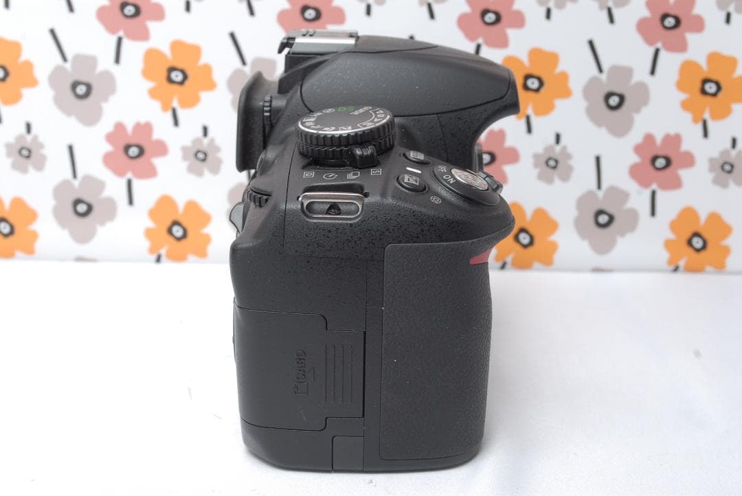 ❤Nikon D3100❤ガイドモード搭載❤ショット数1,188回！❤入学式に❤