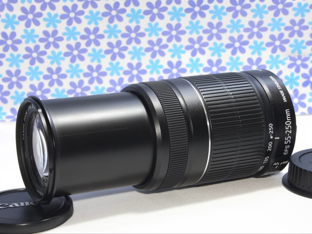 極美品❤️Canon EF-S 55-250mm IS II❤️手振れ補正❤️人気機種