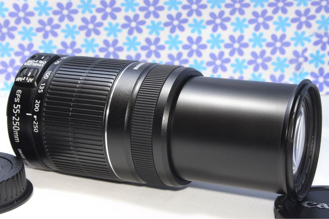 極美品❤️Canon EF-S 55-250mm IS II❤️手振れ補正❤️人気機種