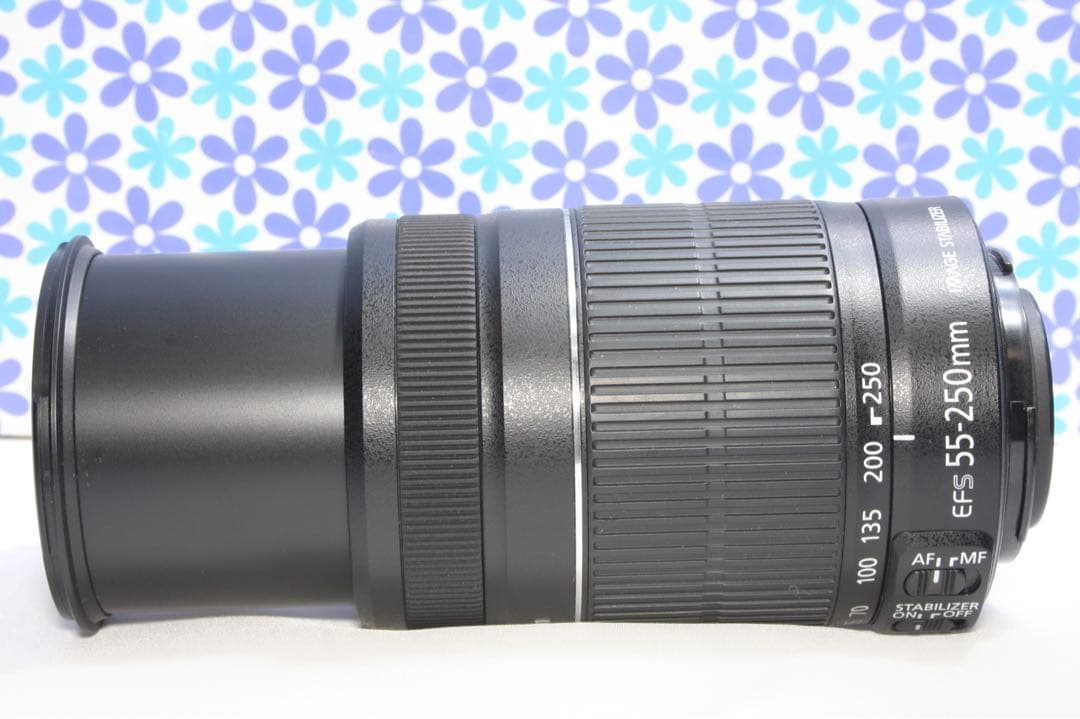極美品❤️Canon EF-S 55-250mm IS II❤️手振れ補正❤️人気機種