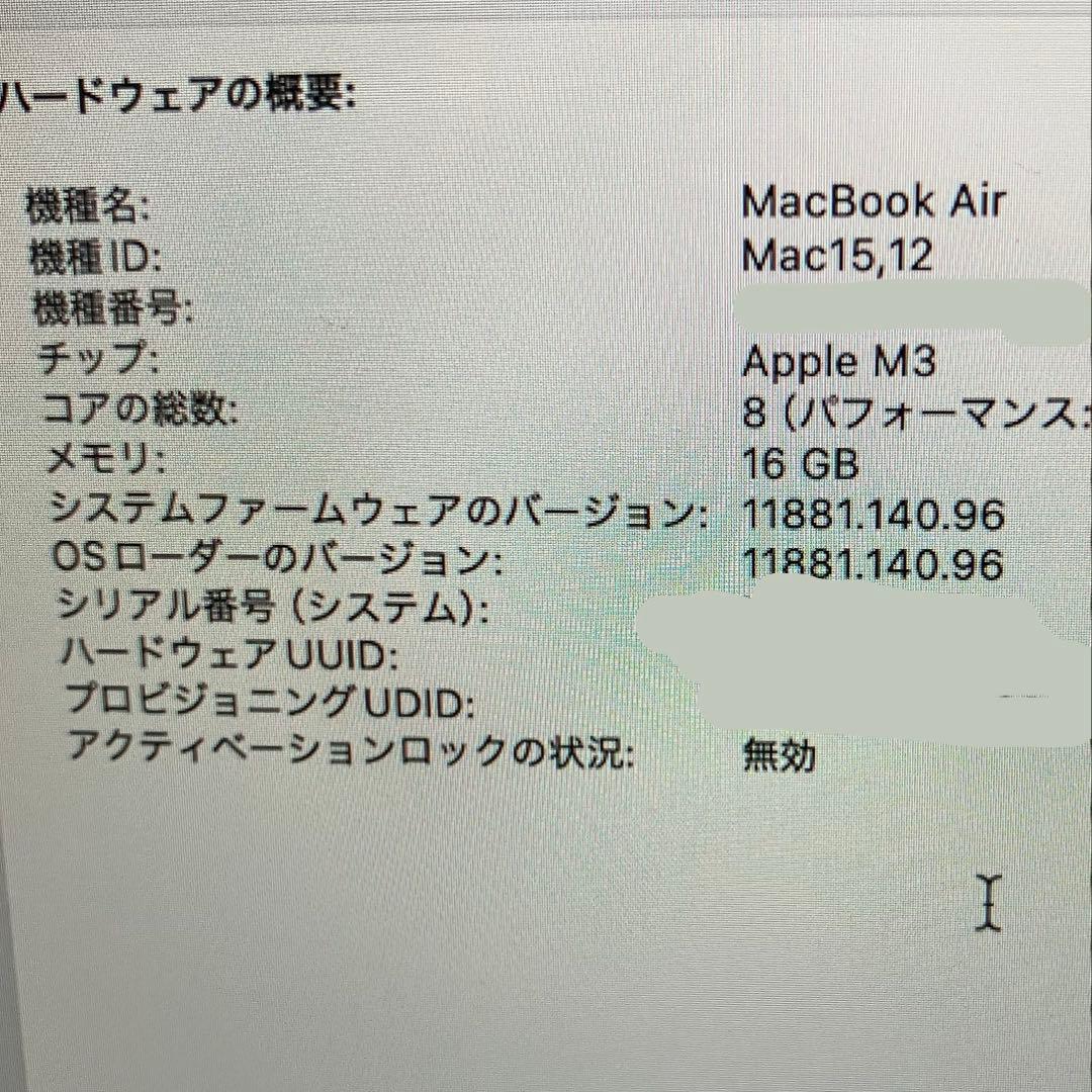 【超美品‼︎】MacBook Air M3 16GB 256GB SSD