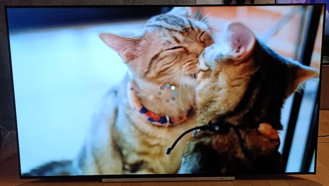 19年製 東芝REGZA 55V型 55X920 4K有機ELテレビ