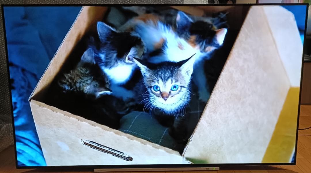 19年製 東芝REGZA 55V型 55X920 4K有機ELテレビ