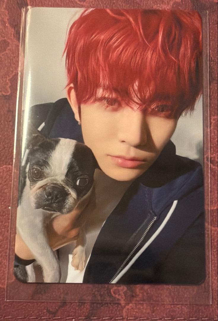 ENHYPEN アンケートトレカ 希少 THE SIN VANISHヒスンセット