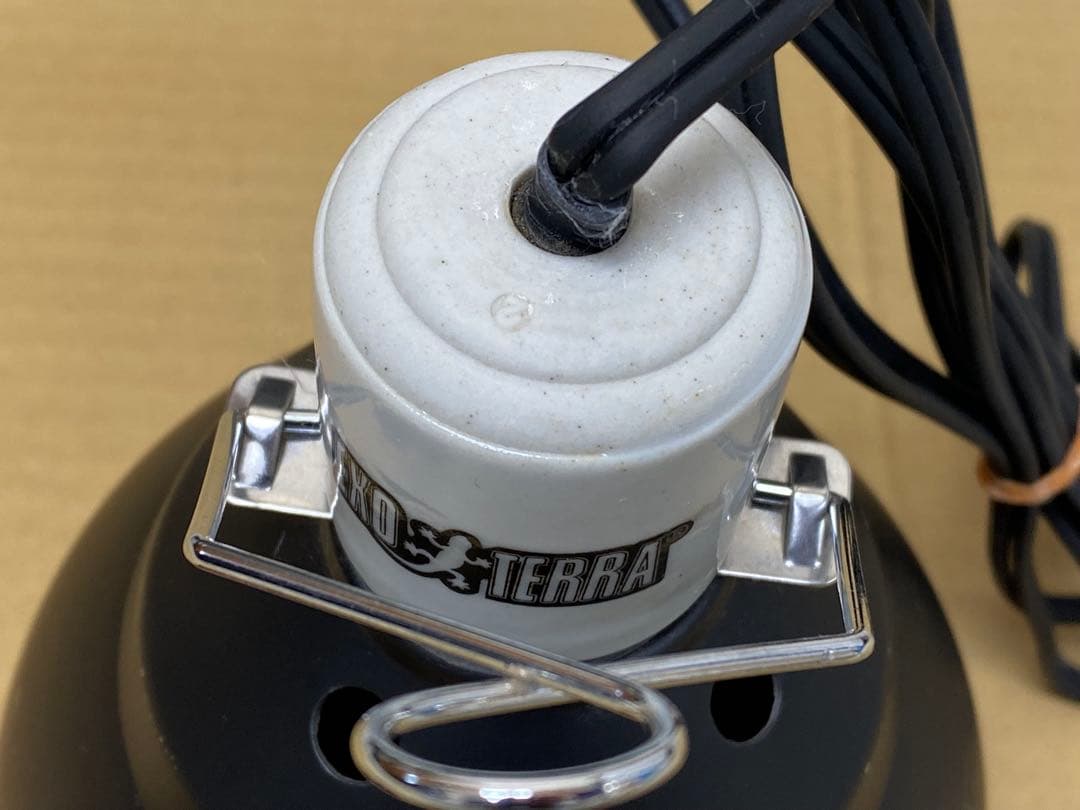 EXOTERRA 爬虫類・両生類用 グラステラリウム 照明付き 付属品多数