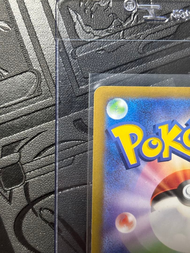 ブラッキーex SAR テラスタルフェスex 217/187 ② チョウピラコ