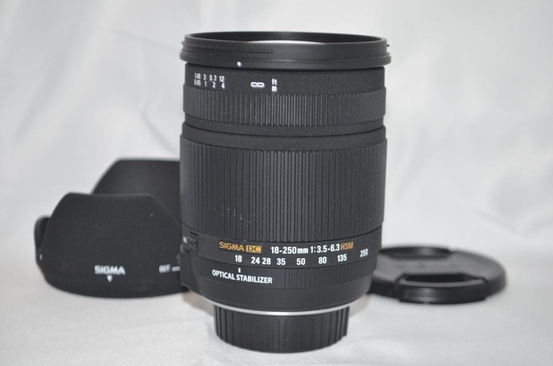 シグマ SIGMA 18-250mm F3.5-6.3 DC HSM ニコン
