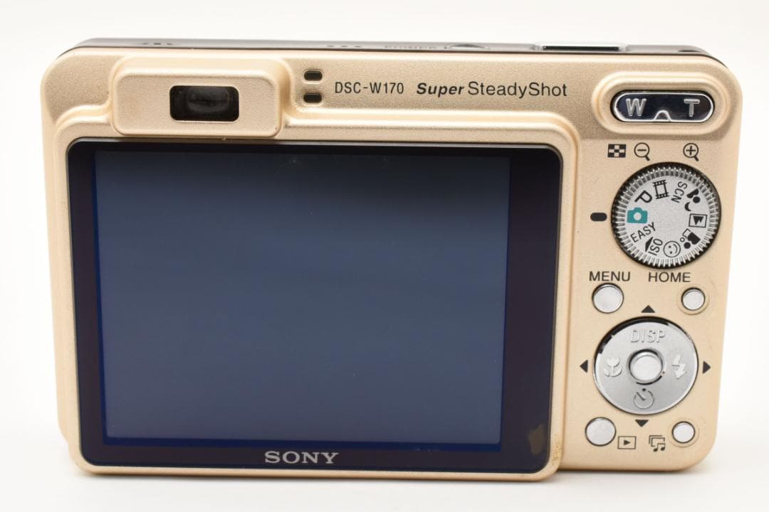 ■ 美品 ■ ソニー SONY サイバーショット DSC-W170　ケース付