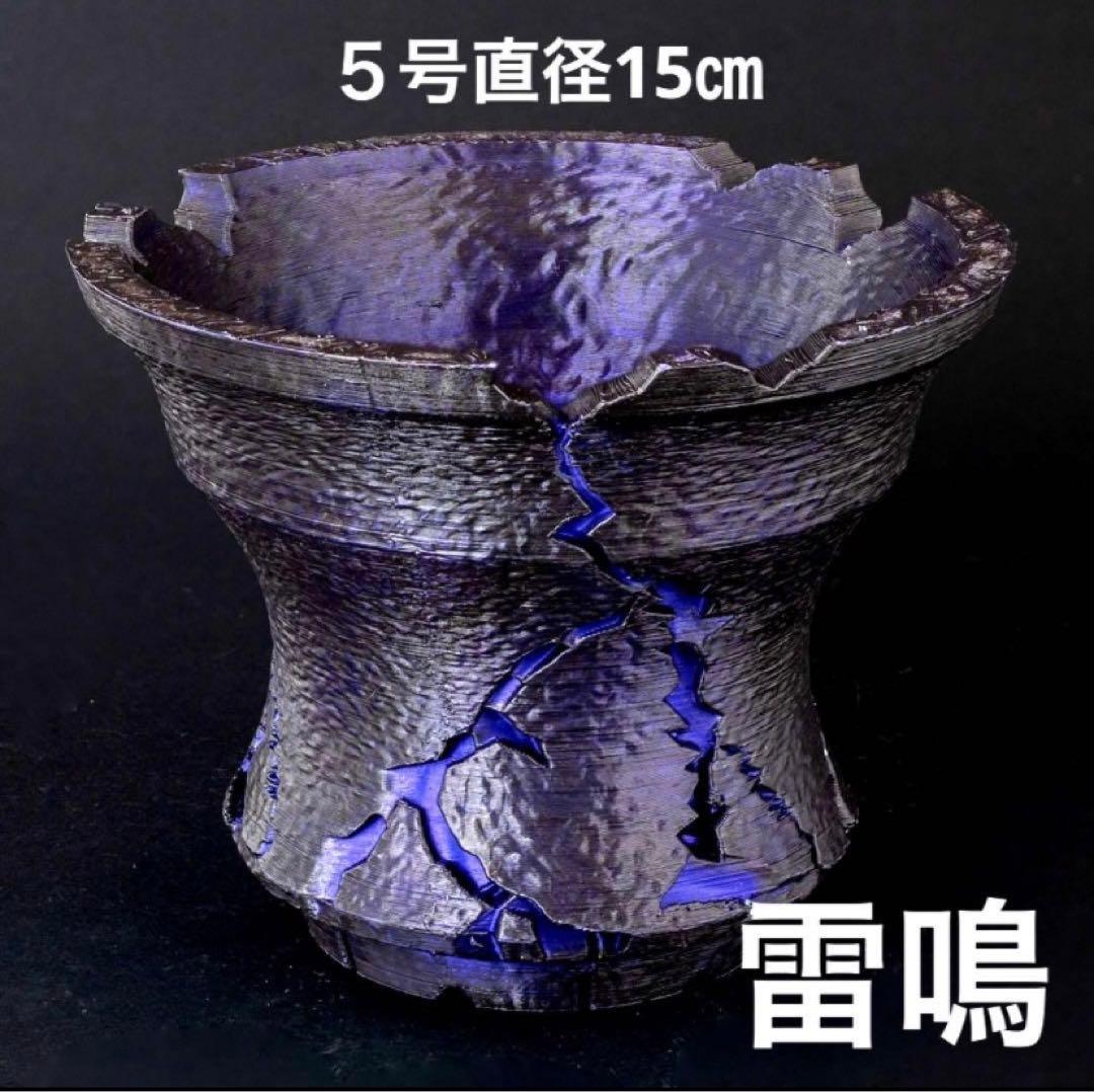 NOAH様　稲光溶岩５号　雷鳴紫５号　牢城４号