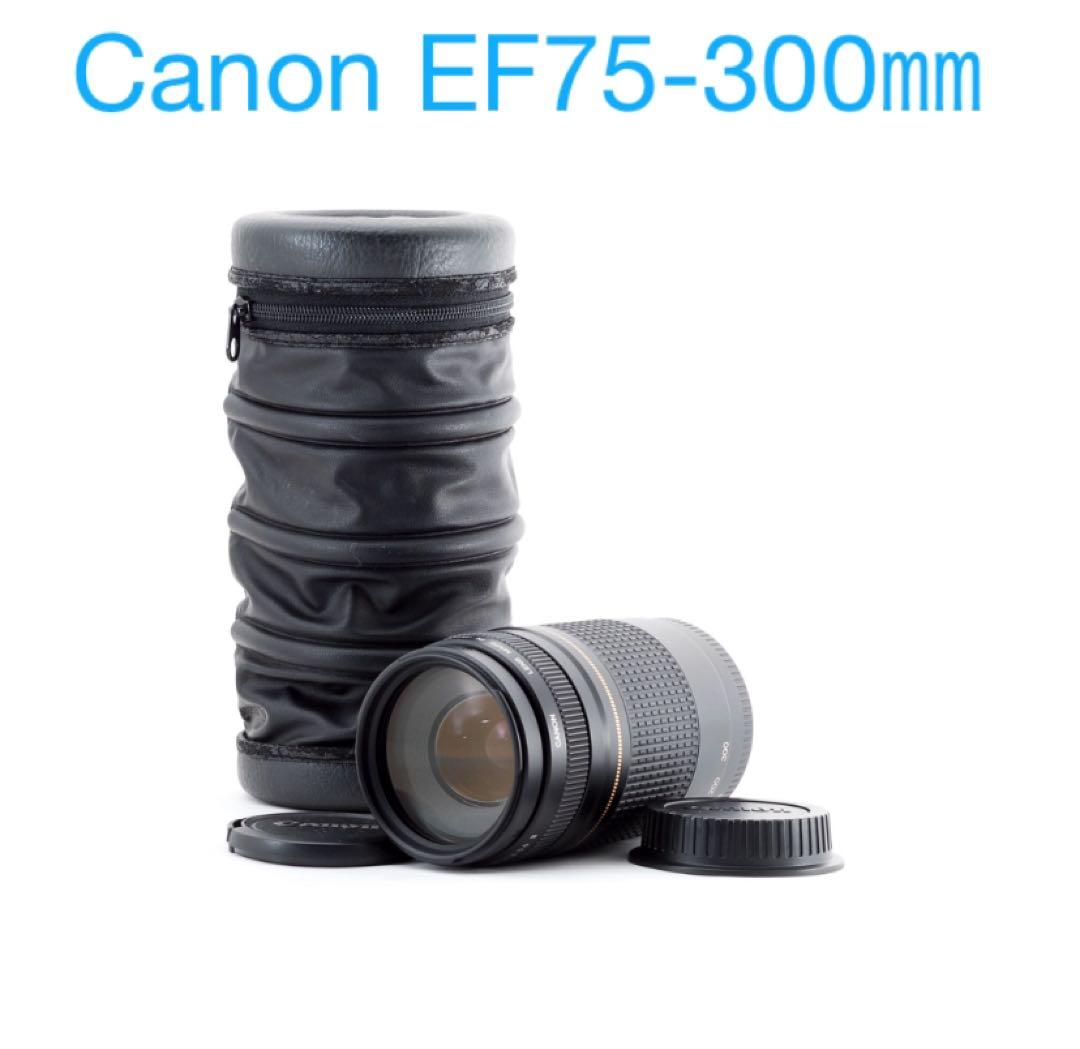 キャノン☆純正☆望遠レンズ☆Canon EF75-300 USM