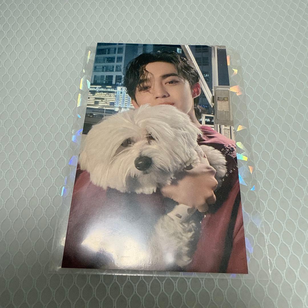 SEVENTEEN　FML　東京会場限定　エスクプス　トレカ　ユニバ