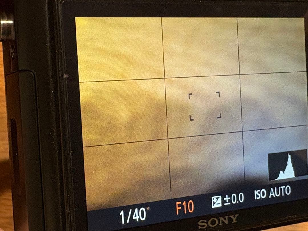 最終値下げ！！ Sony RX1 コンパクトデジタルカメラ