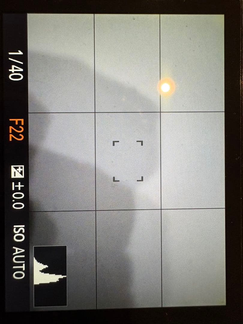 最終値下げ！！ Sony RX1 コンパクトデジタルカメラ