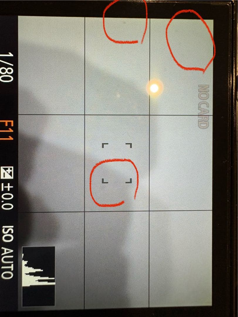 最終値下げ！！ Sony RX1 コンパクトデジタルカメラ