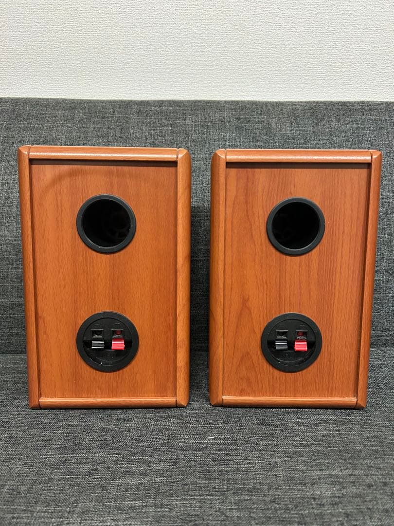 真空管　プリメインアンプ　SW-T10 スピーカーセット