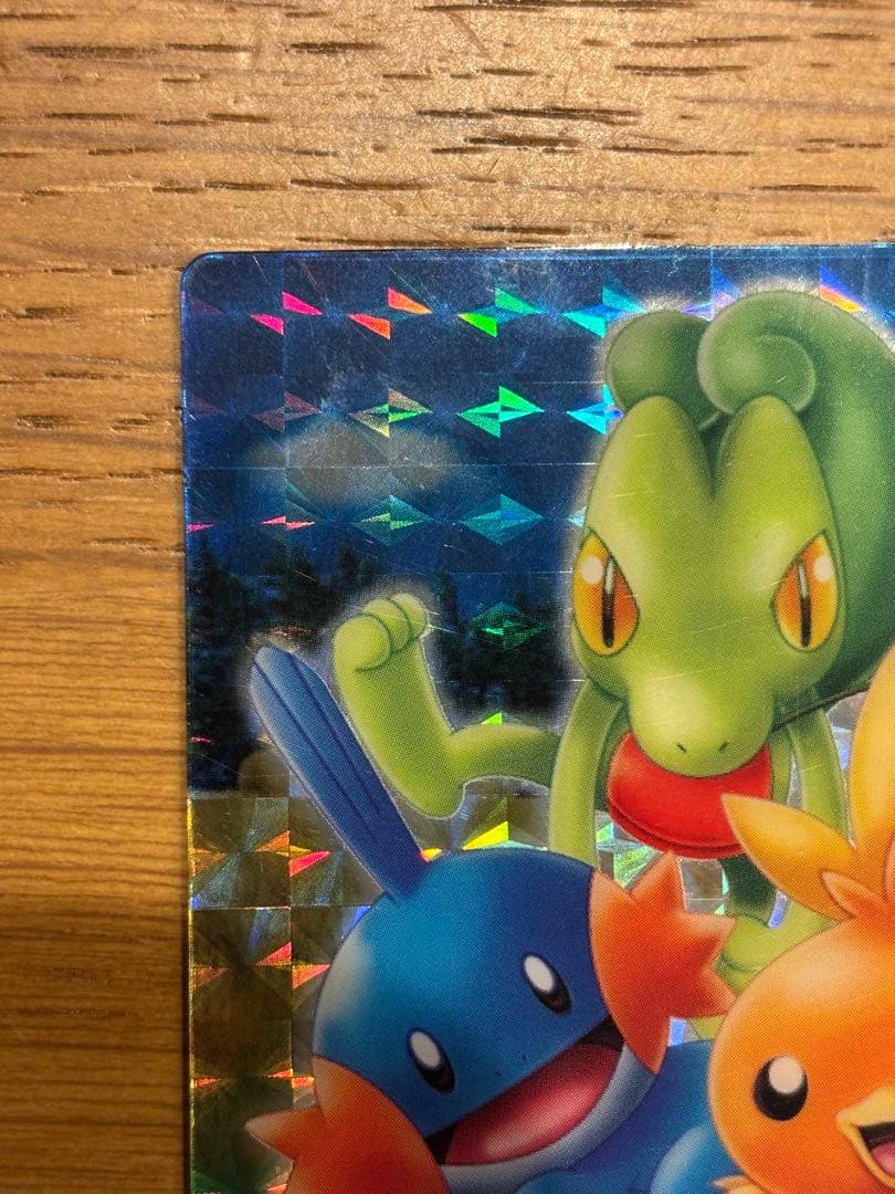 ポケモンずかんカード アドバンスジェネレーション キモリ&アチャモ&ミズゴロウ