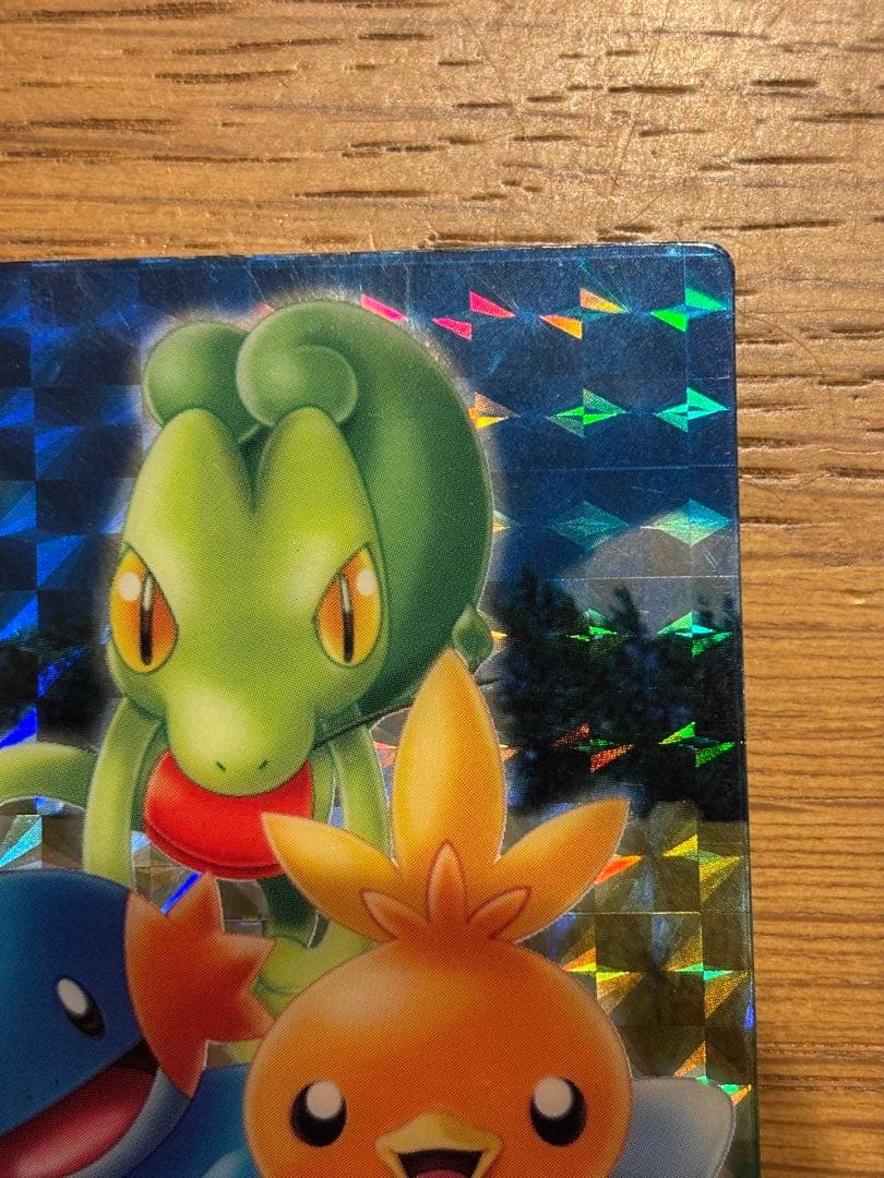 ポケモンずかんカード アドバンスジェネレーション キモリ&アチャモ&ミズゴロウ