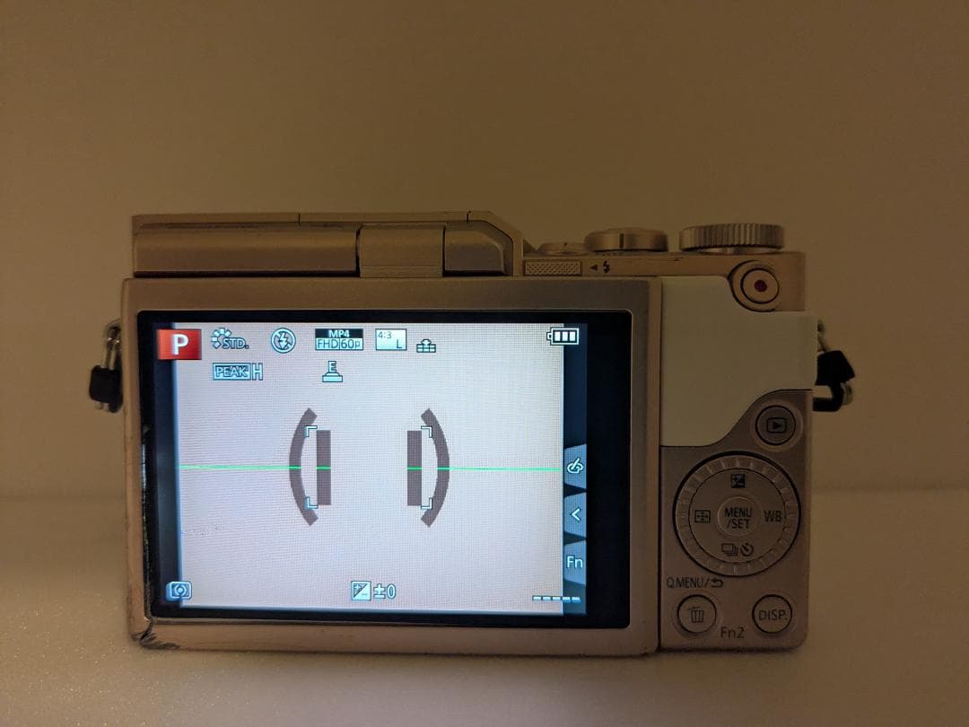 LUMIX DC-GF10 ボディ ホワイト 完動品 バッテリー付き #342a