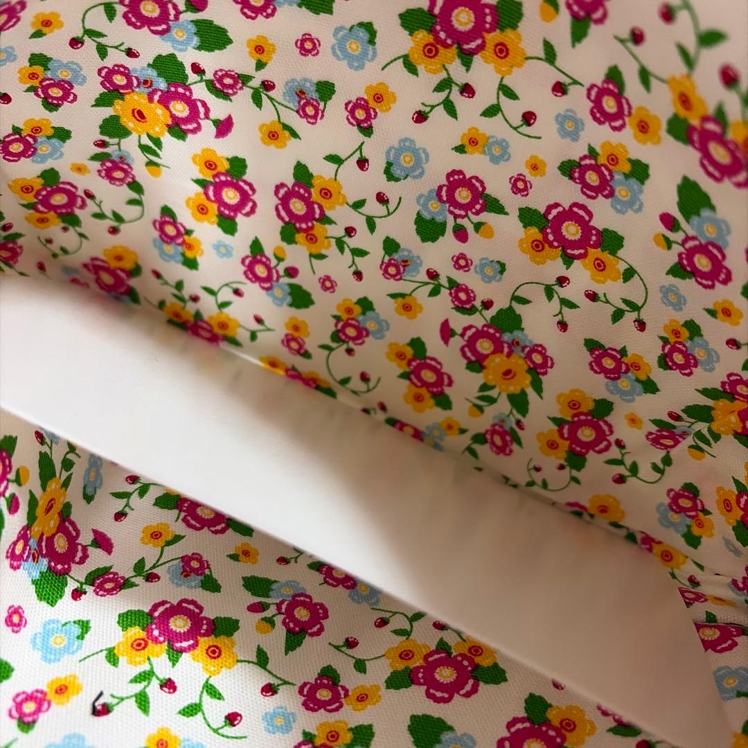 【激レア・タグ付き】ハローキティ 野いちごキティ ランチボックスケース2001年