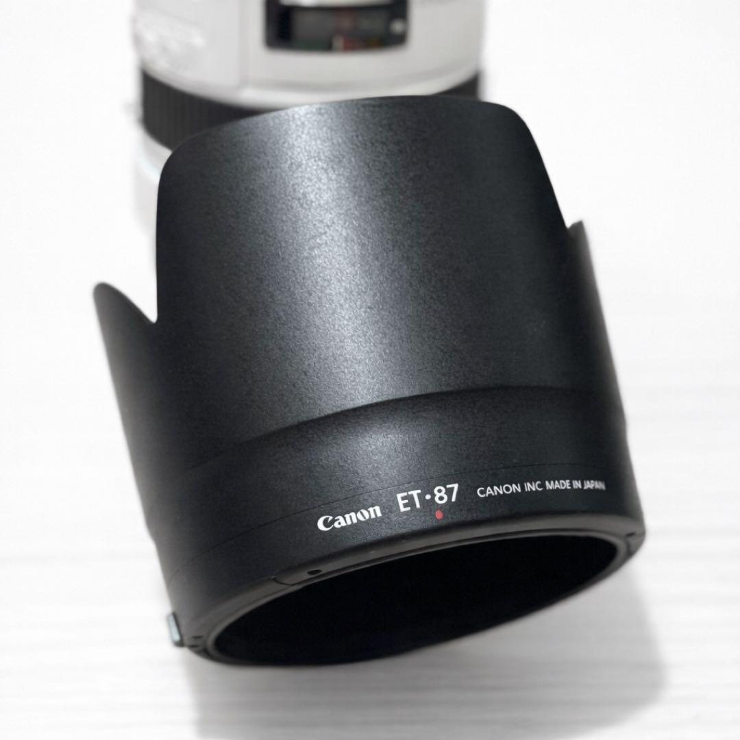 Canon EF70-200mm F2.8 L IS Ⅲ USM