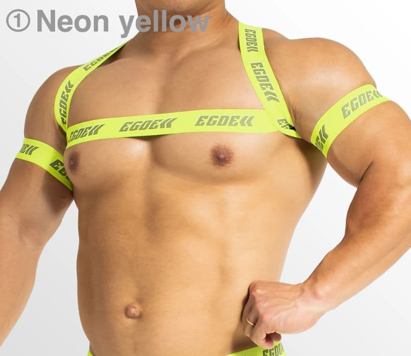 EGDE BEAM ハーネス&アームバンドL-XL バックストラップ XXL