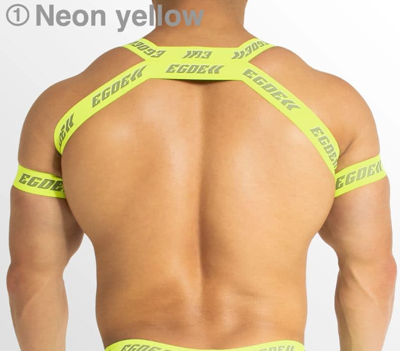 EGDE BEAM ハーネス&アームバンドL-XL バックストラップ XXL