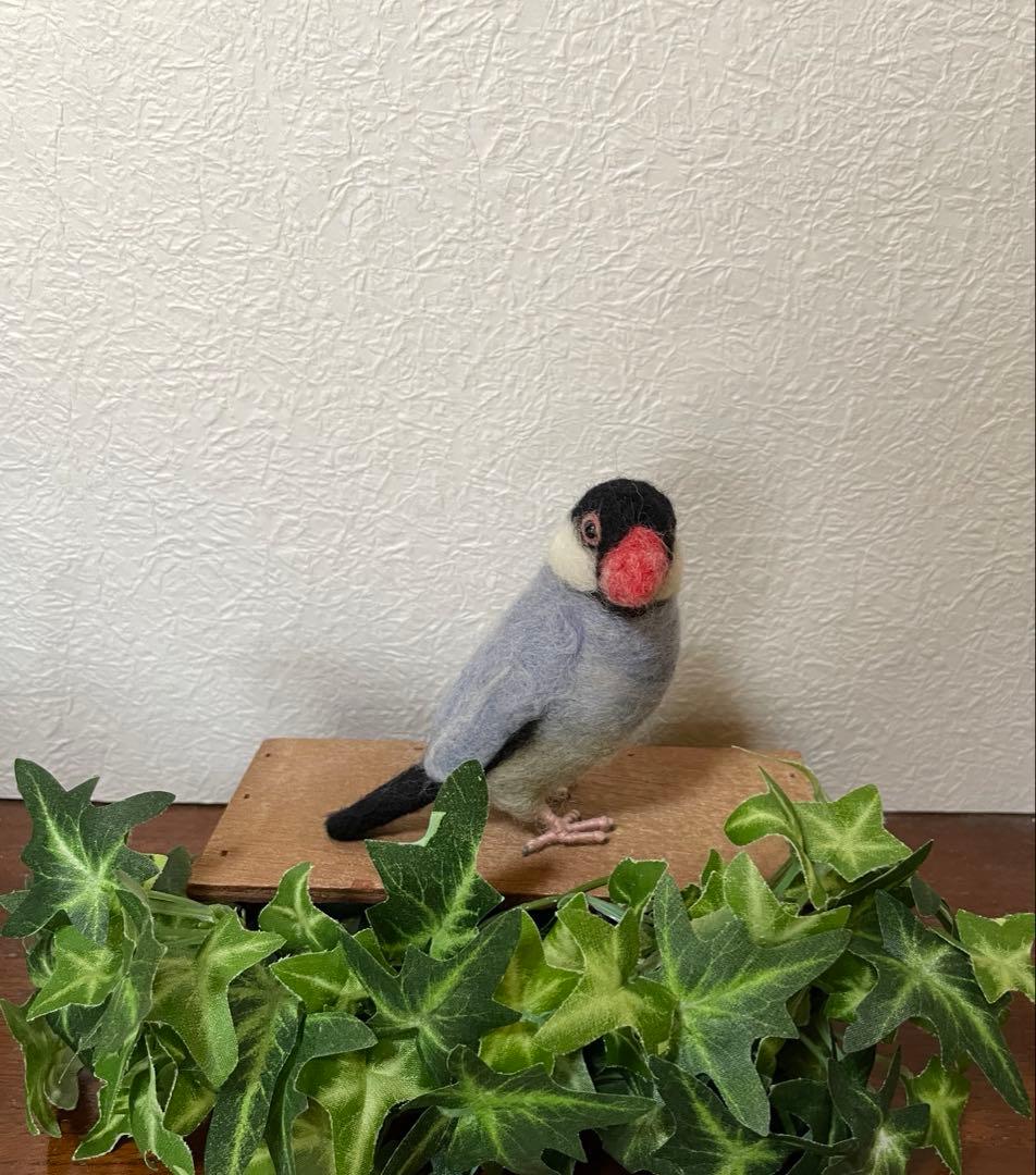 小さな文鳥たち