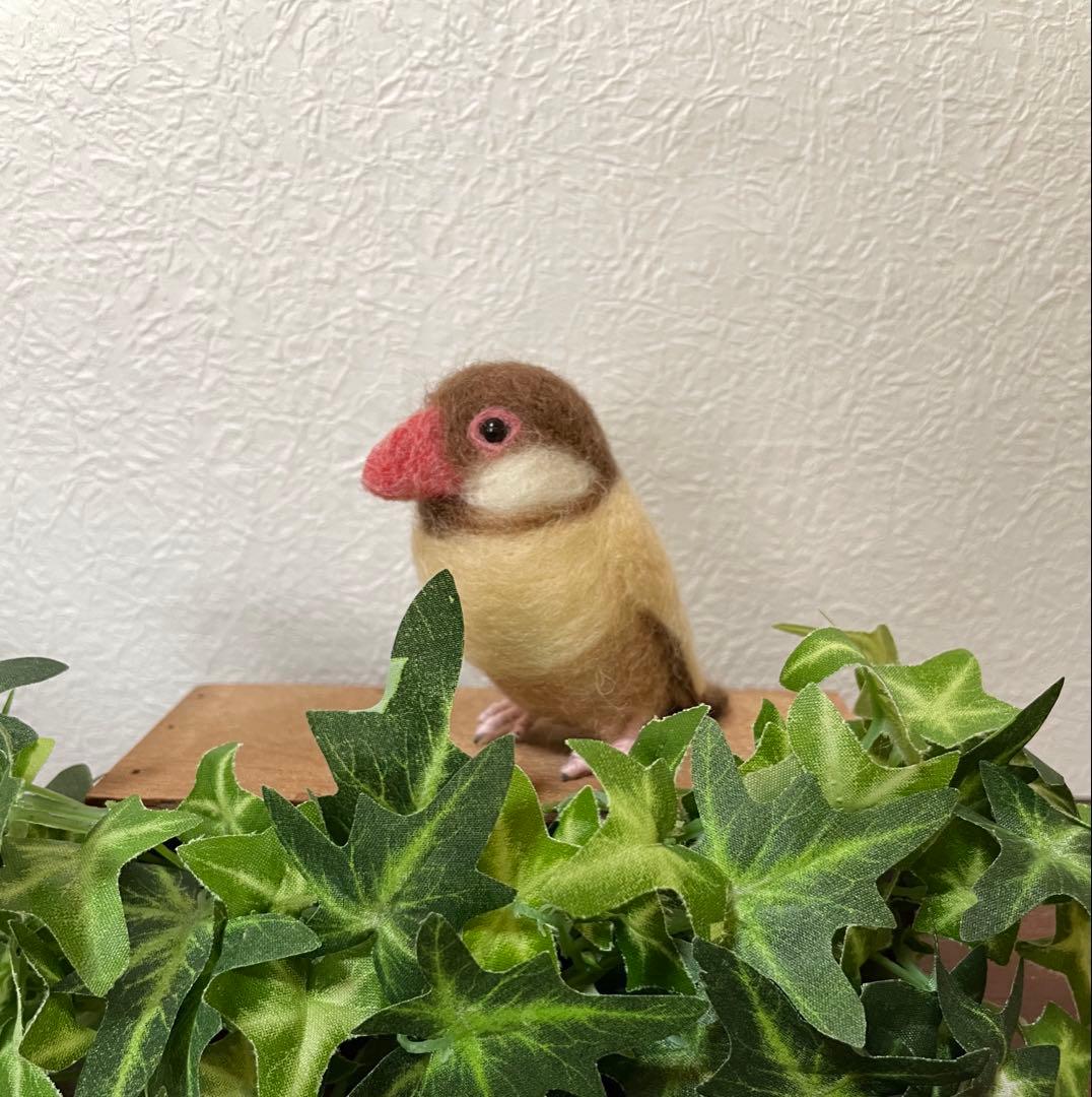 小さな文鳥たち