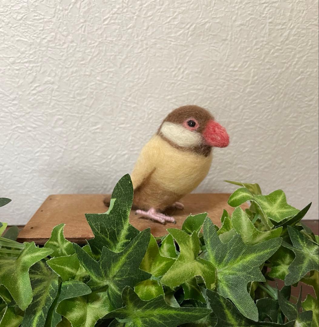 小さな文鳥たち