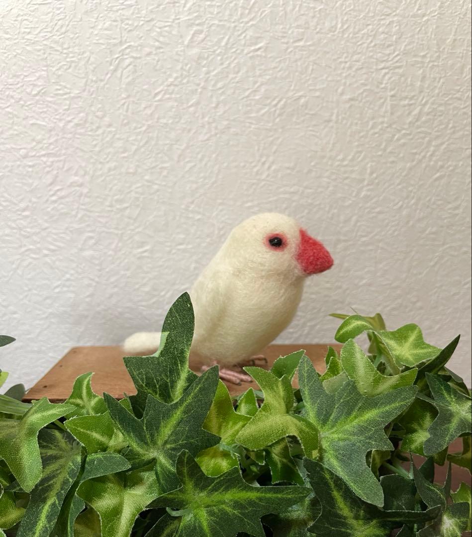 小さな文鳥たち