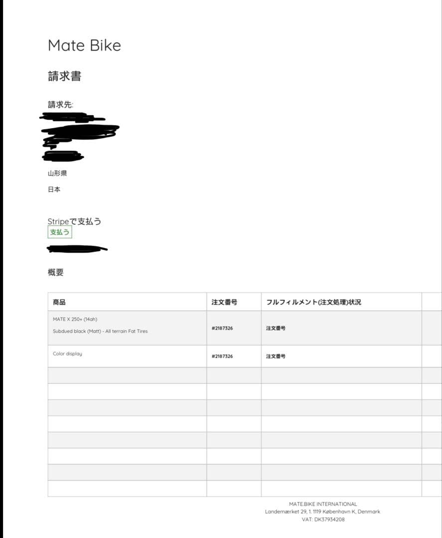 新品未使用 MATE X 250+ ブラック オプションディスプレイ 未開封