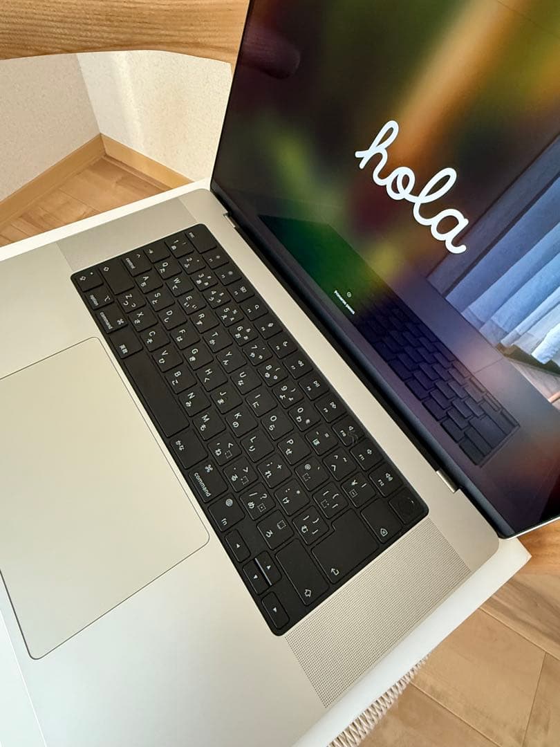 MacBook Pro 16インチ M2 Pro 1TB★使用可・液晶不具合あり