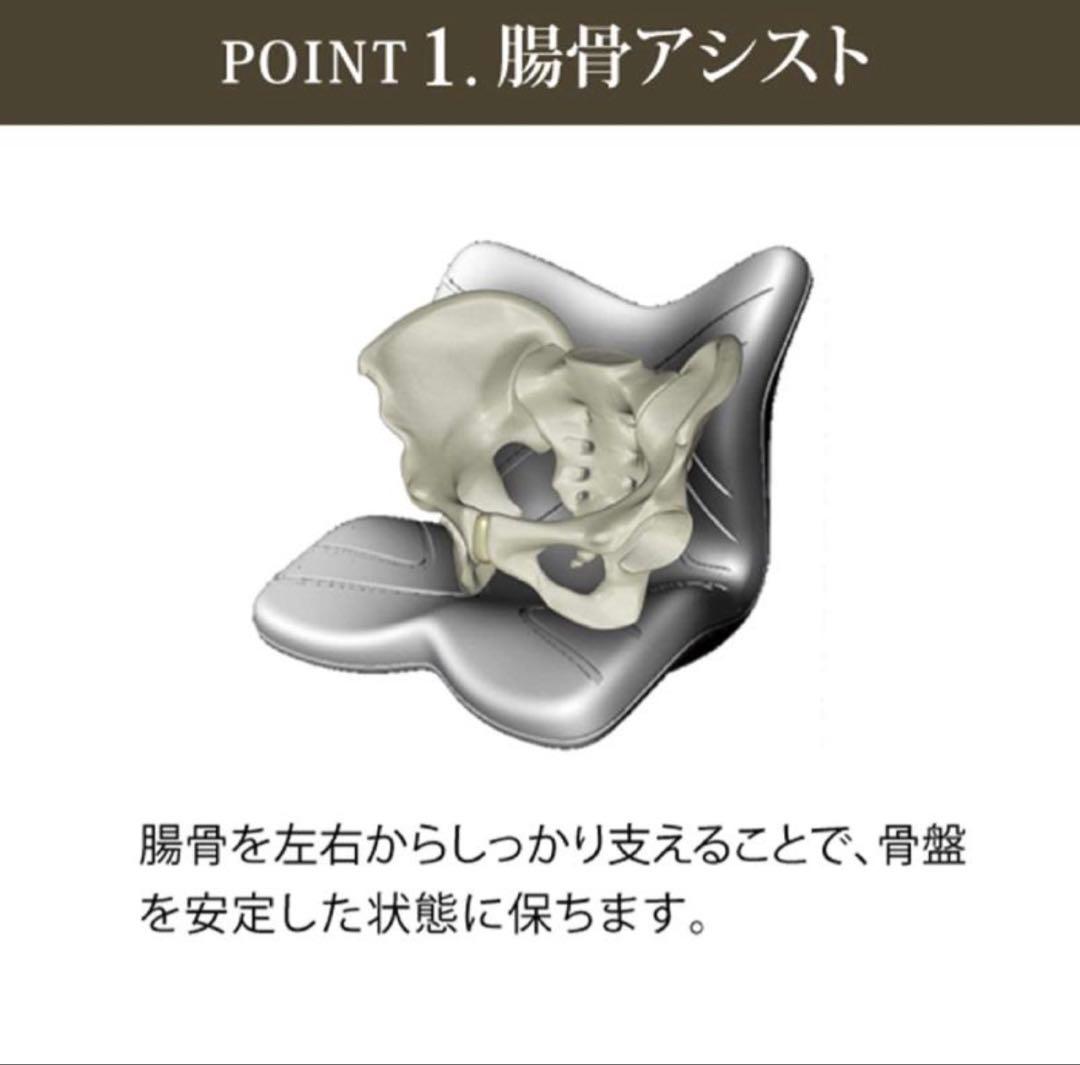 Style PREMIUM 腰椎サポート機能 ブラック