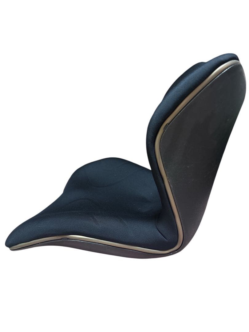 Style PREMIUM 腰椎サポート機能 ブラック