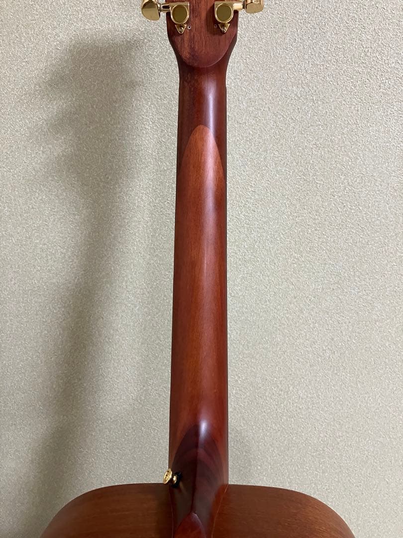 ヘッドウエイ　HD-BROWNIE エレアコ