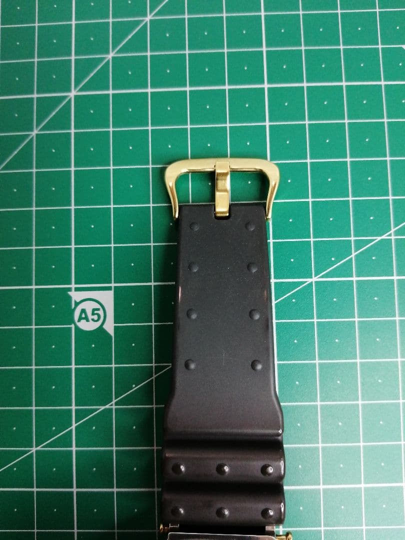 カシオ　G-shock DW-6300 フロッグマン　電池新品　美品